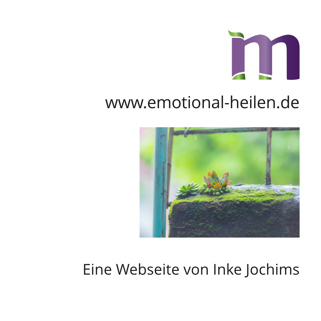 Webseite von Inke Jochims