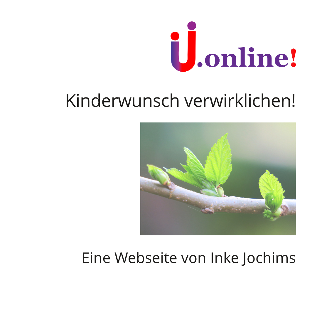 Webseite von Inke Jochims